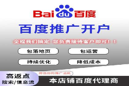 百度竞价广告投放数据分析